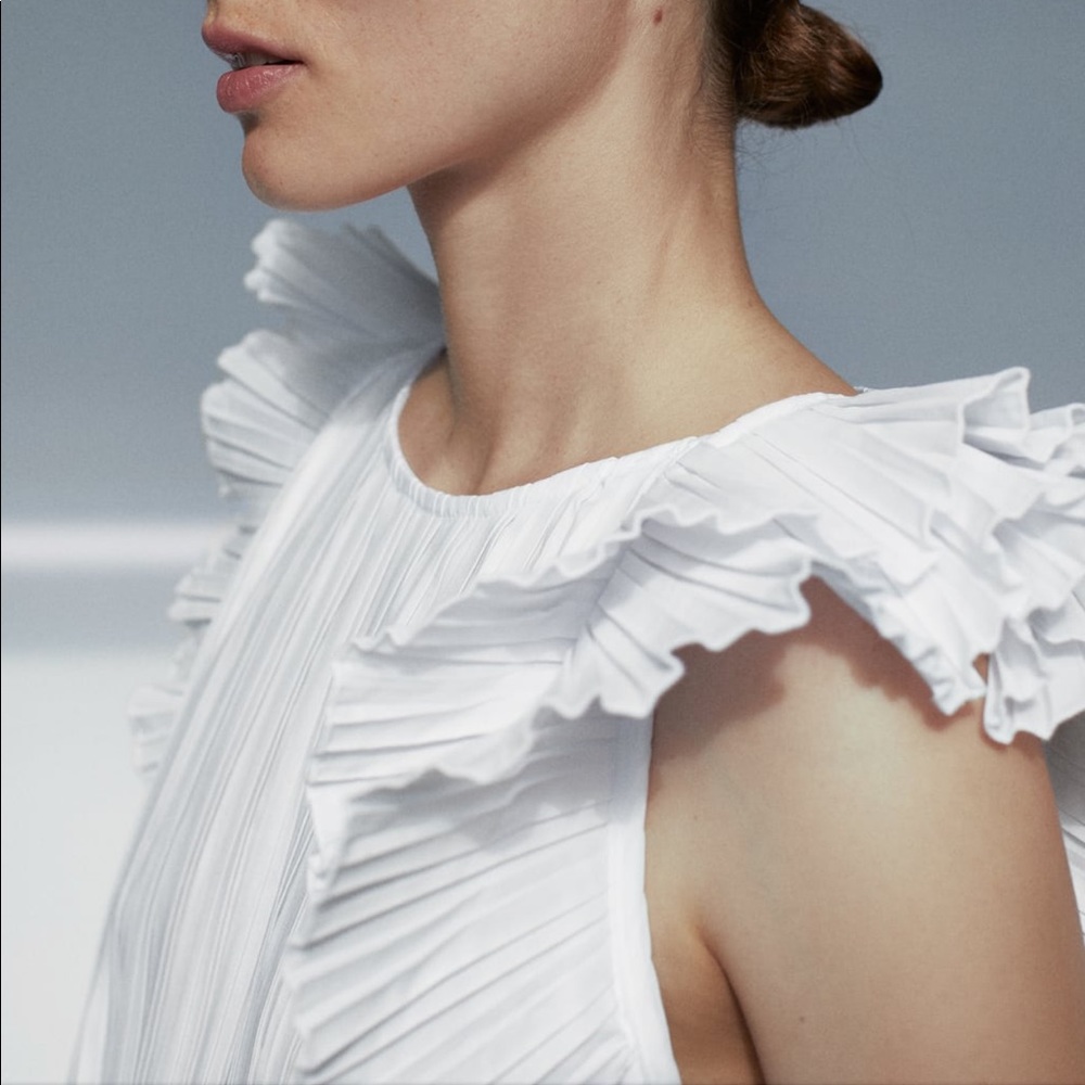 Zara pleated dress bloggers favorite - Picture 12 of 13